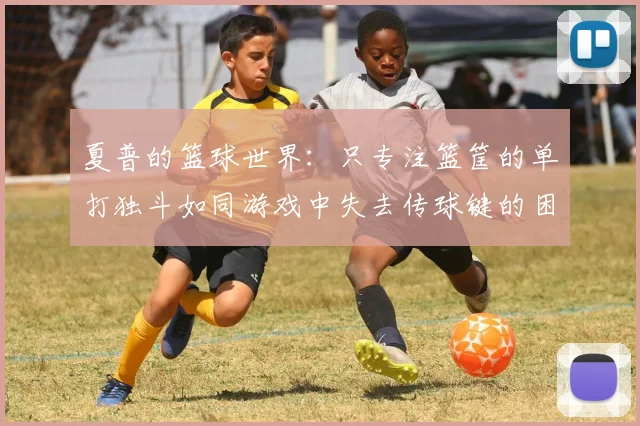 夏普的篮球世界：只专注篮筐的单打独斗如同游戏中失去传球键的困境